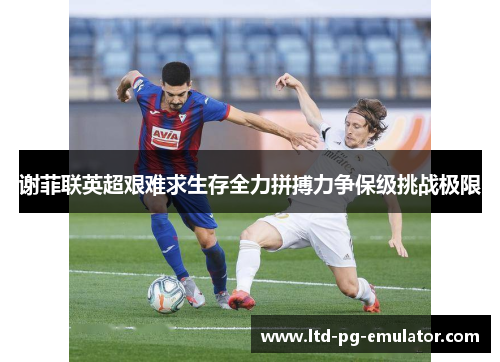 谢菲联英超艰难求生存全力拼搏力争保级挑战极限 谢菲联英超艰难求生存全力拼搏力争保级挑战极限