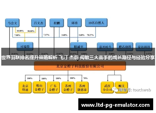 世界羽联排名提升策略解析 飞汀 杰蔚 阀敏三大高手的成长路径与经验分享
