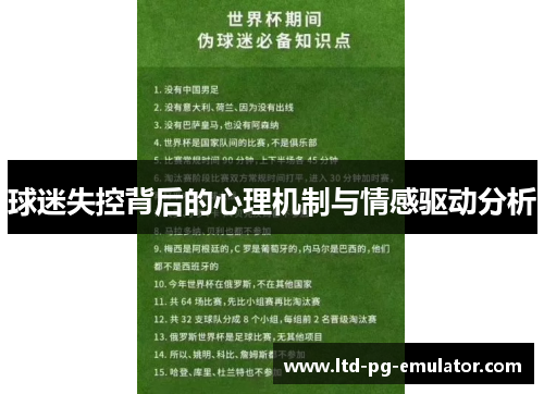 球迷失控背后的心理机制与情感驱动分析 球迷失控背后的心理机制与情感驱动分析