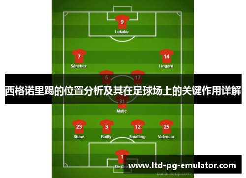 西格诺里踢的位置分析及其在足球场上的关键作用详解 西格诺里踢的位置分析及其在足球场上的关键作用详解